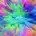multicolor.webp