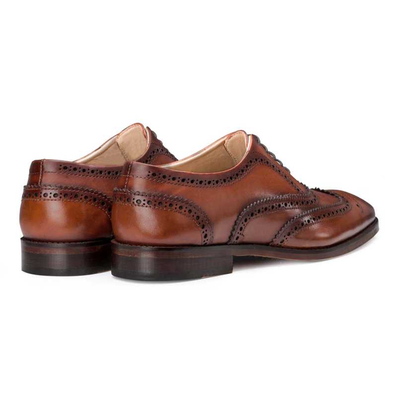 Brown Wingtip Brogue - Escaro Royale
