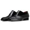 Cobalt Oxfords - Escaro Royale