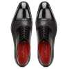 Cobalt Oxfords - Escaro Royale
