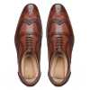 Brown Wingtip Brogue - Escaro Royale