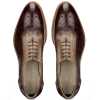 The Cortes Designer Oxford in Brown - Escaro Royale